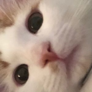 Meet your Posher, TᗩY 😘